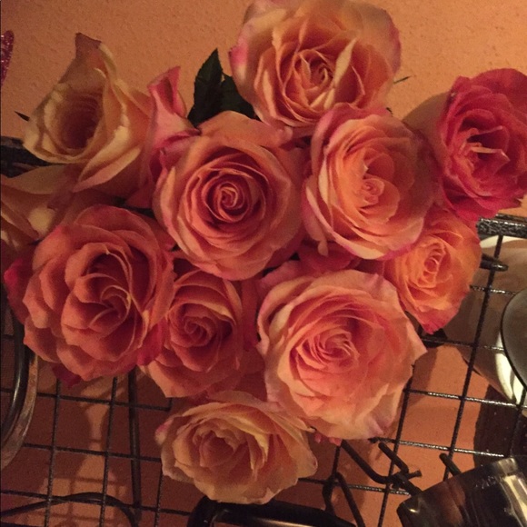 Meet your Posher, Gigi - Picture 3 of 6